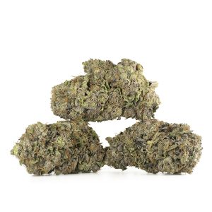 Buy Northern Lights Strain Online Green Society