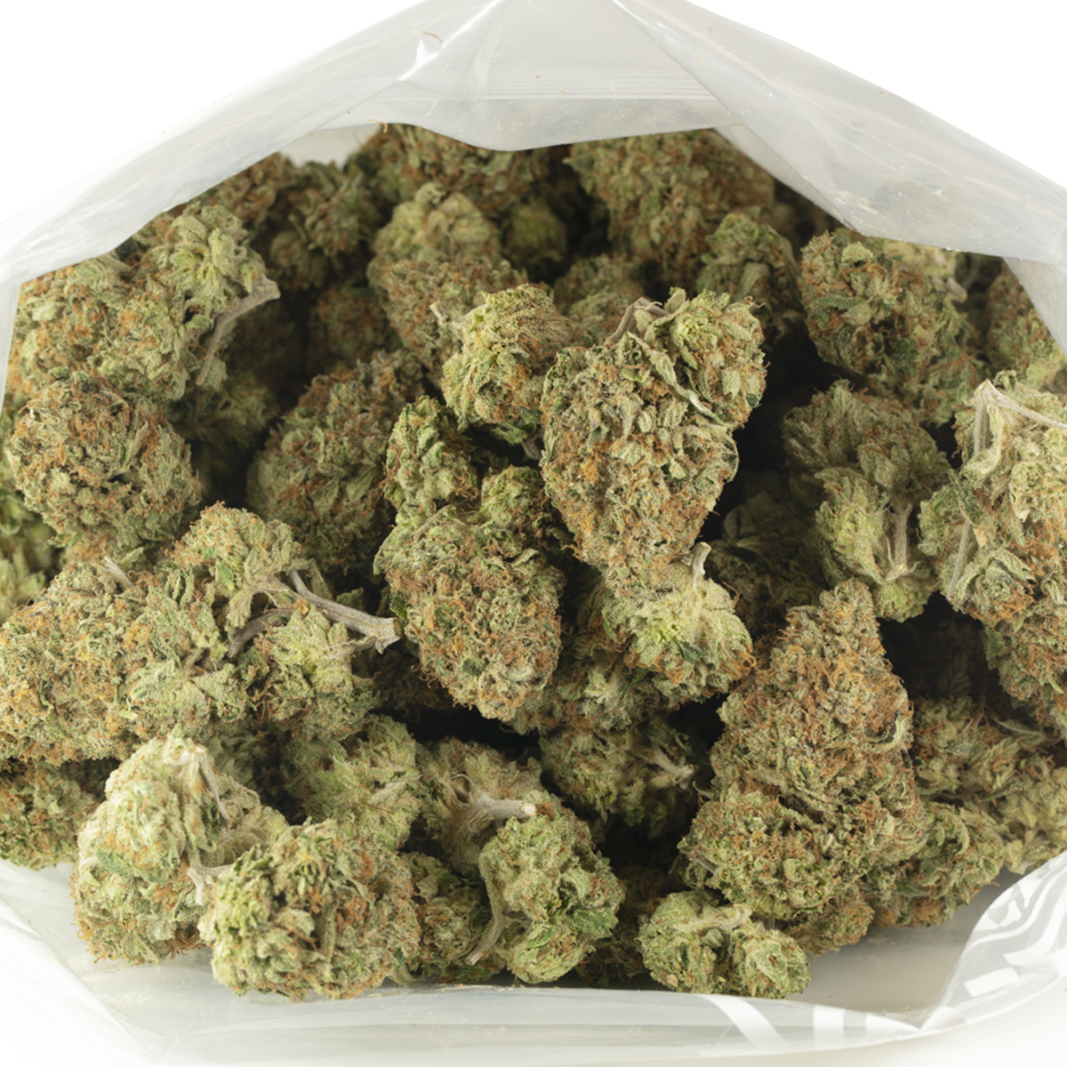 Buy OG Diesel Kush Strain Online Green Society