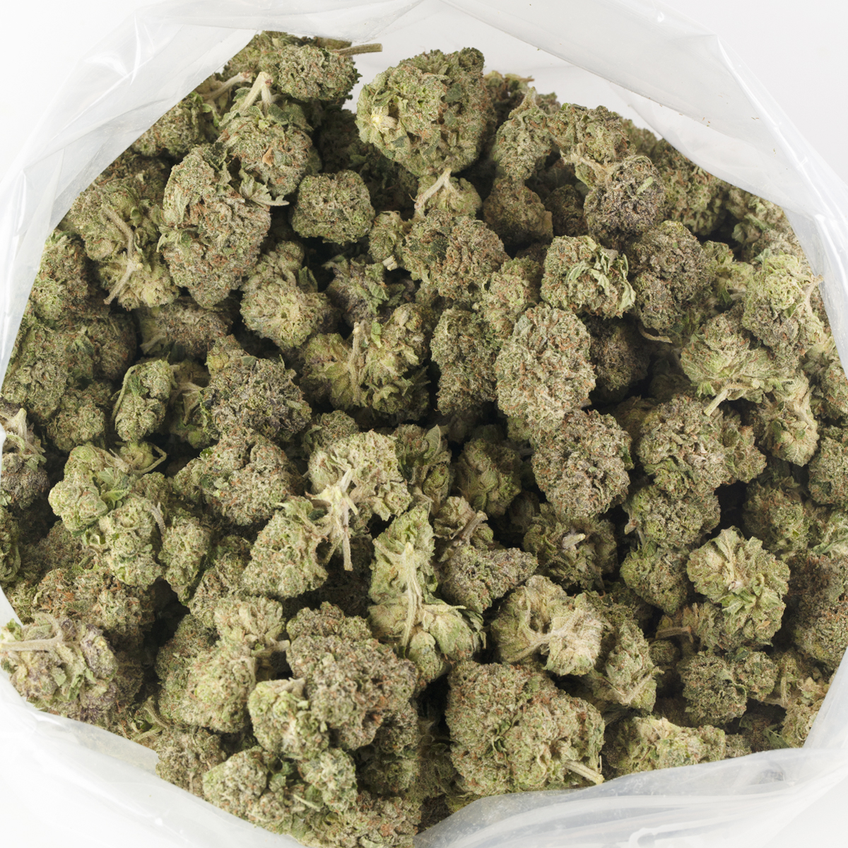 Buy Pink Gas (Popcorn) Strain Online Green Society