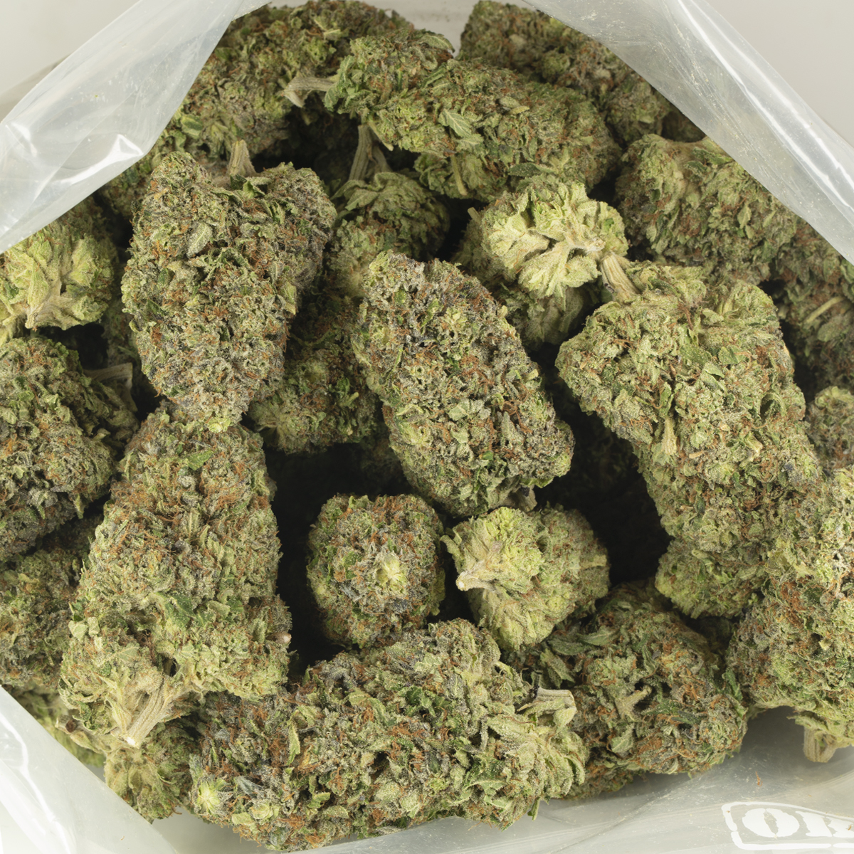 Buy Pink Star Killer Strain Online Green Society