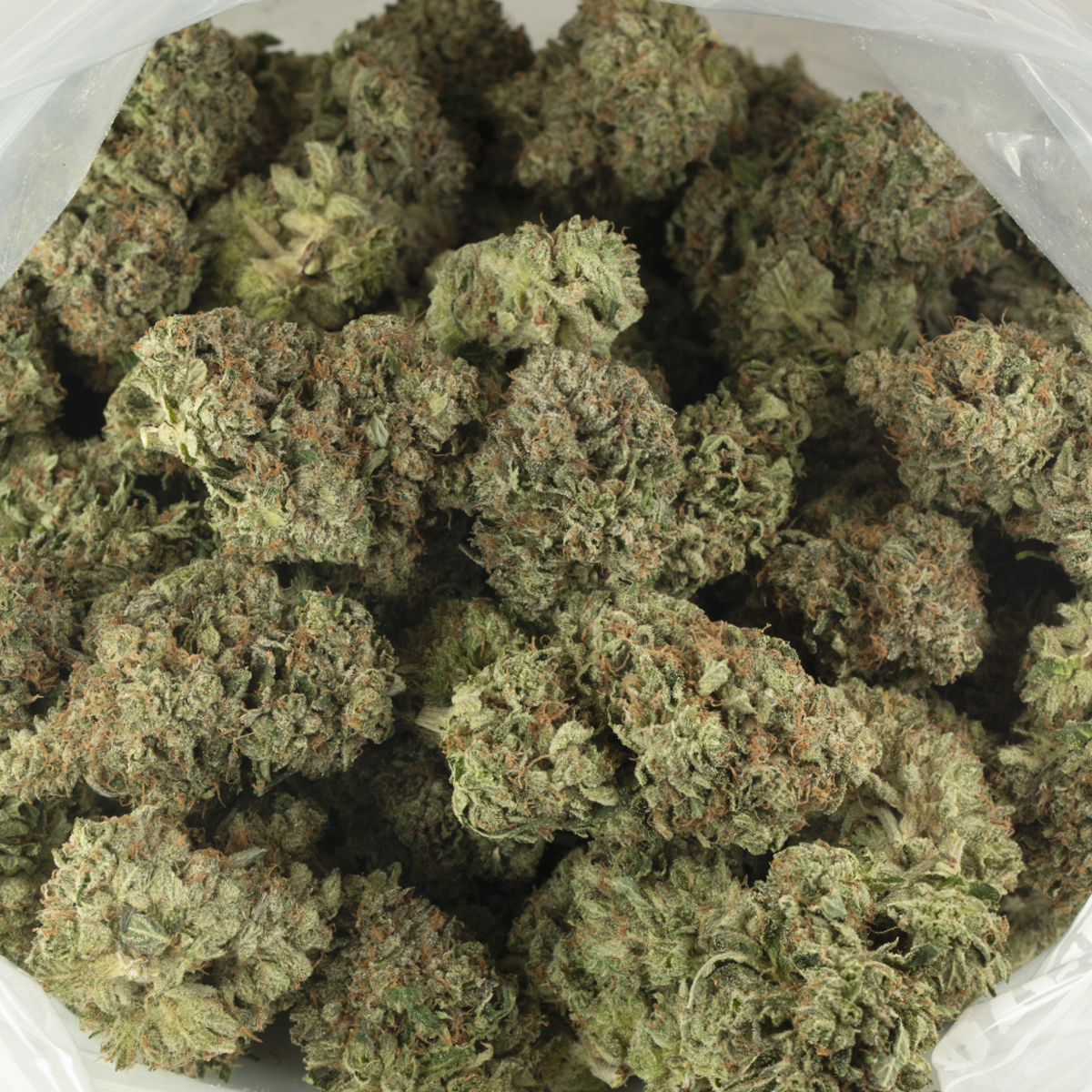 Platinum Bubba Kush - Image 2