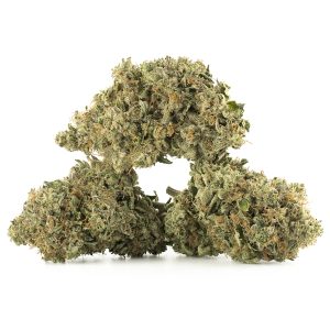 Buy Platinum Bubba Kush Strain Online Green Society