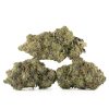 Buy Venom Pink Strain Online Green Society