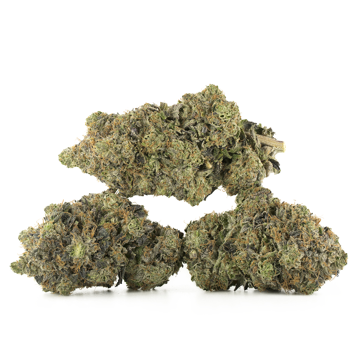 Buy Venom Pink Strain Online Green Society
