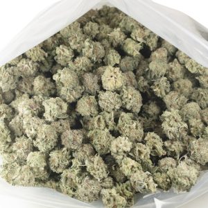 Buy Blue Dream (Popcorn) Online Green Society