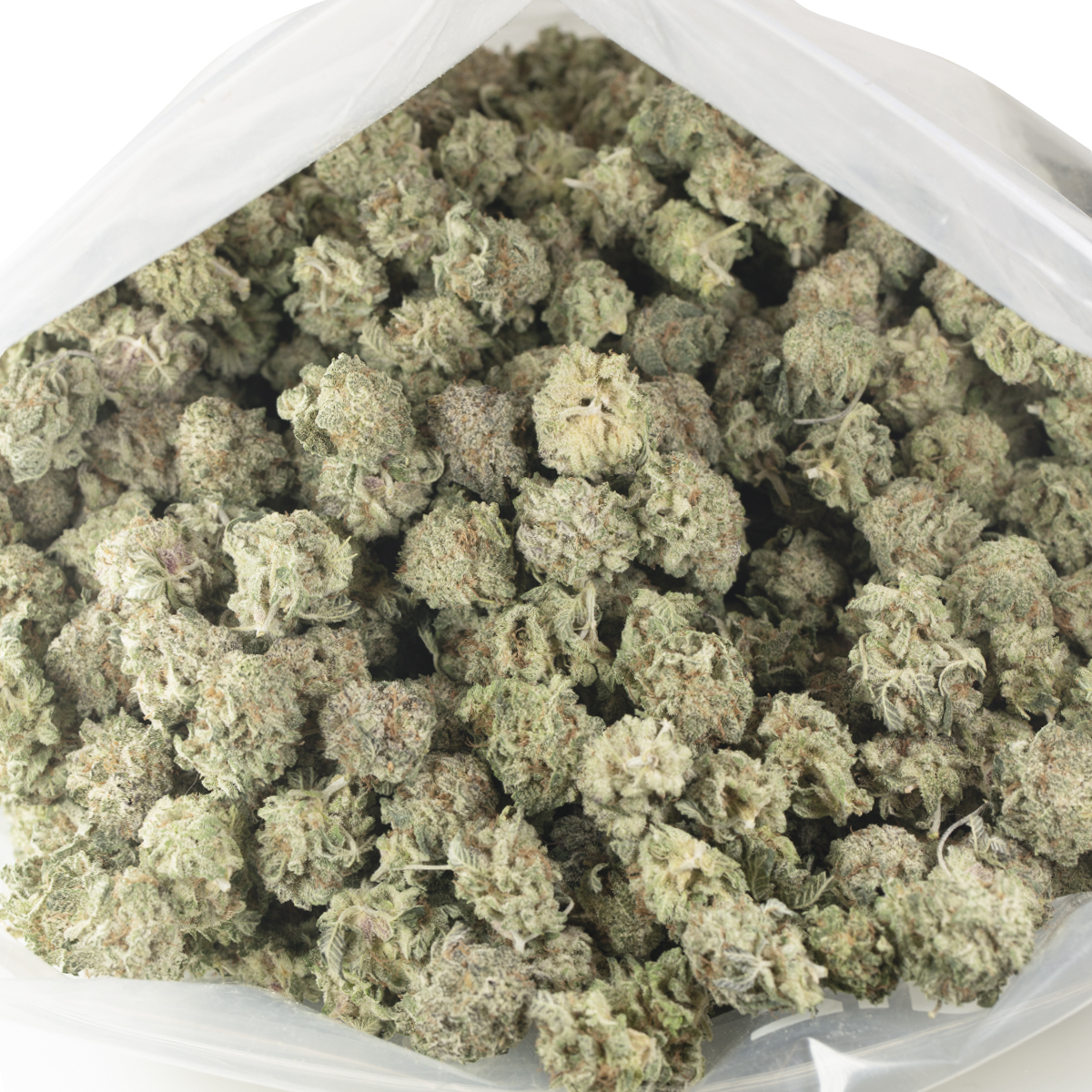 Buy Blue Dream (Popcorn) Online Green Society