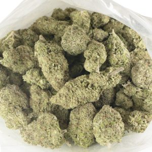 Buy Cactus Breath Strain Online Green Society