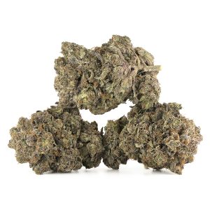 Buy Death Master Strain Online Green Society