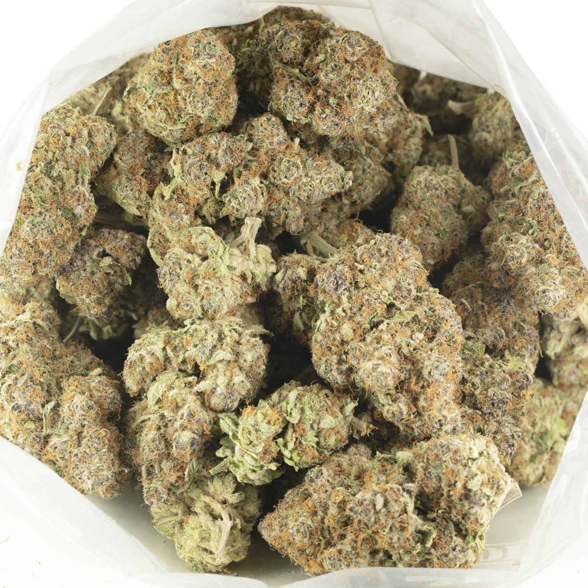 Buy Durban Poison Strain Online Green Society
