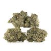 Buy El Chapo Strain Online Green Society