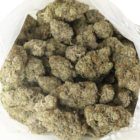 Buy First Class Funk Strain Online Green Society