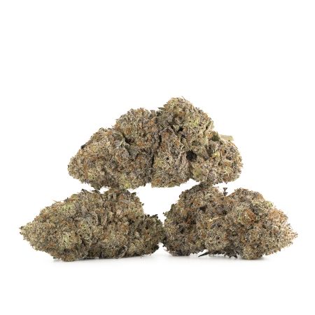 Buy First Class Funk Strain Online Green Society