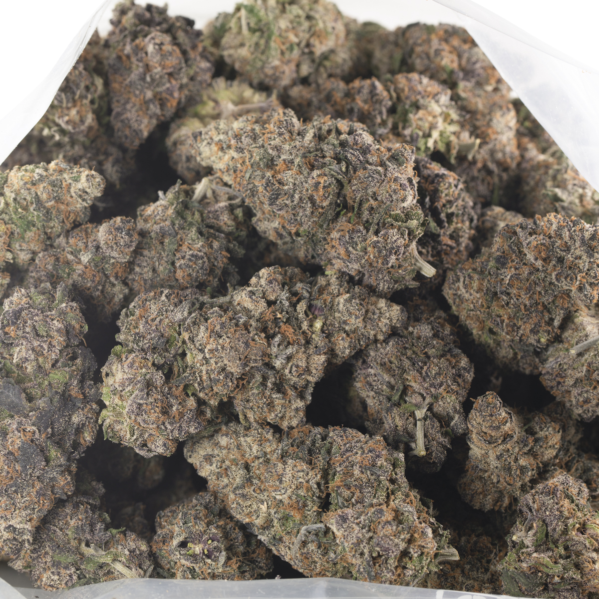 Buy Grape Gasoline Strain Online Green Society