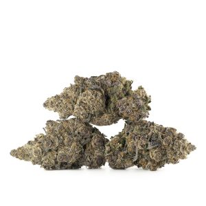 Buy Grape Gasoline Strain Online Green Society