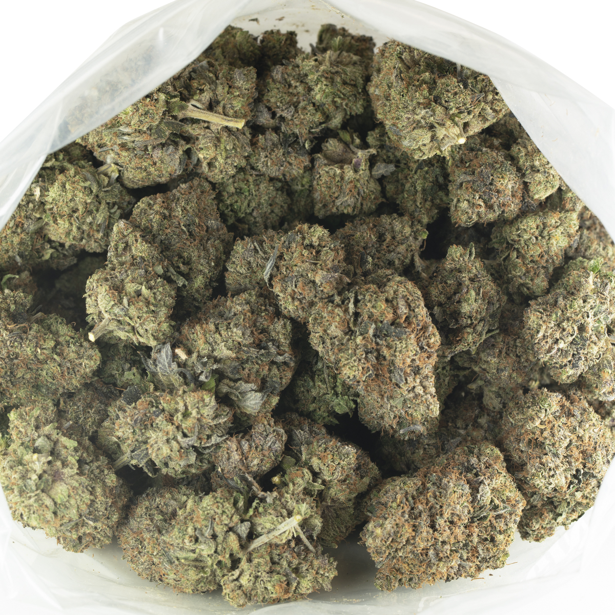 Buy Greasy Death Bubba Strain Online Green Society