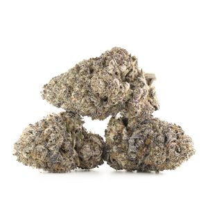 Buy Jealousy Strain Online Green Society