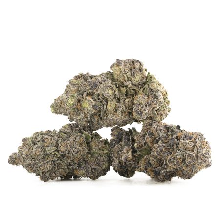 Buy King Tut Strain Online Green Society