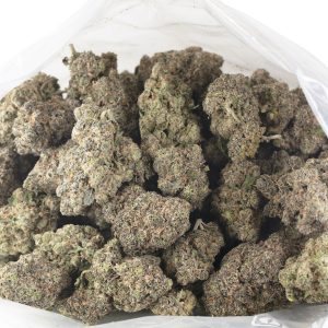 Buy Mochi Gelato Strain Online Green Society