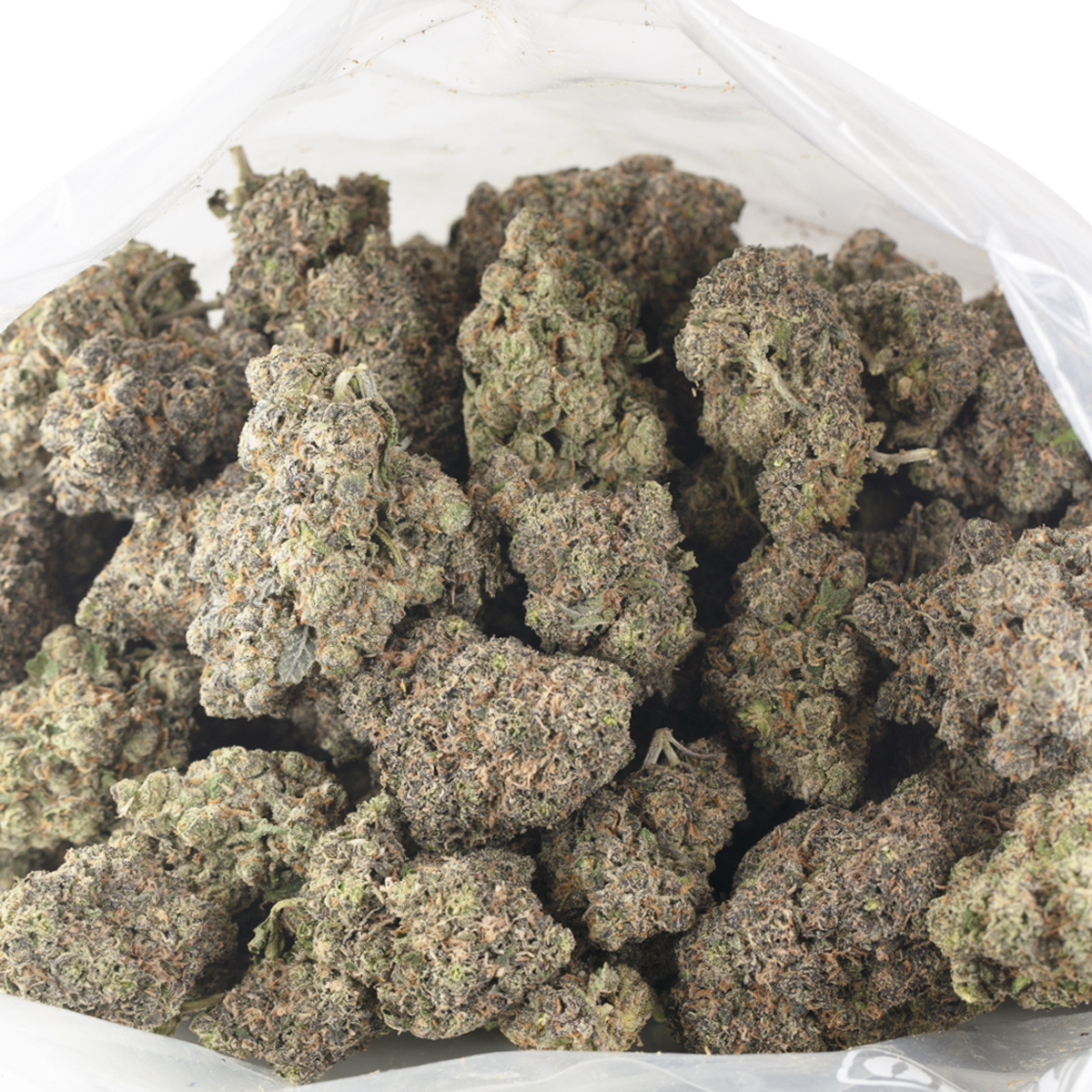 Buy Mochi Gelato Strain Online Green Society
