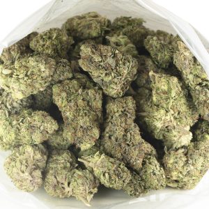 Buy Pink Quattro Strain Online Green Society