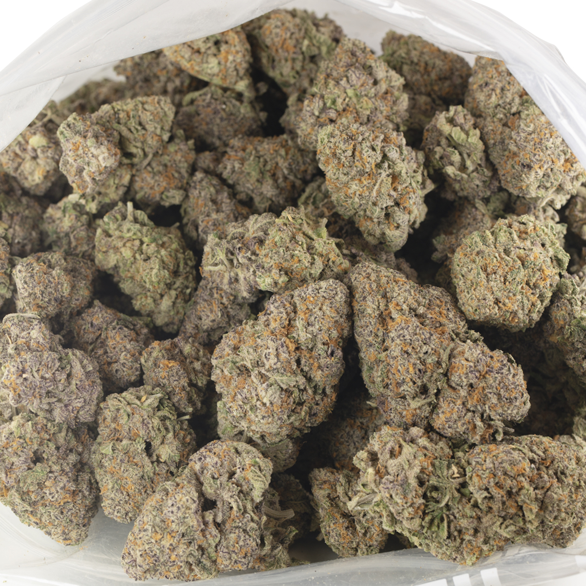 Buy Pure Michigan Strain Online Green Society