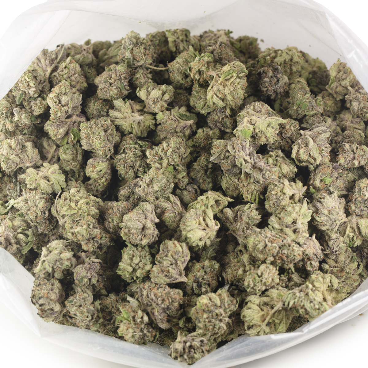Buy Purple Kush (Popcorn) Online Green Society