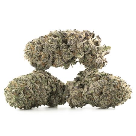 Buy Black Cherry Soda Strain Online Green Society
