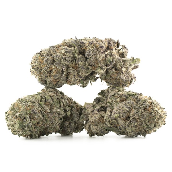 Buy Black Cherry Soda Strain Online Green Society