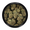 Buy Apple Fritter (Smalls) Online Green Society