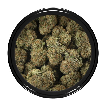Buy Apple Fritter (Smalls) Online Green Society