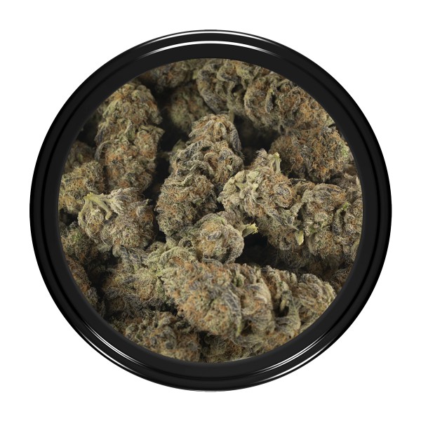Buy Black Lightning Strain Online Green Society