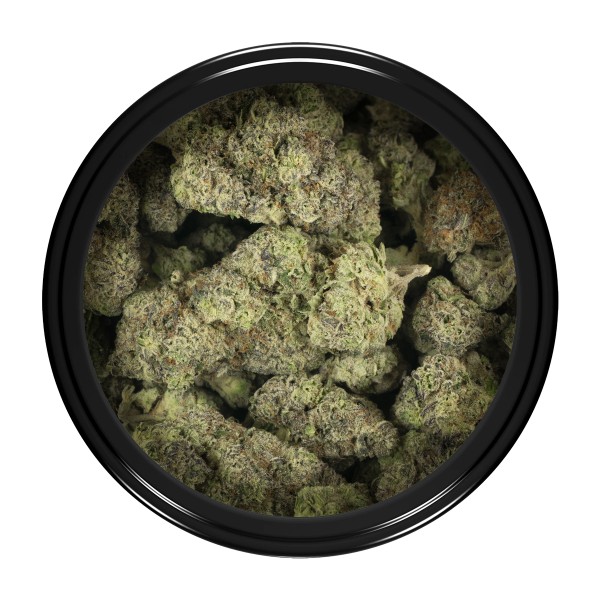 Alternative view of Donkey Dawg