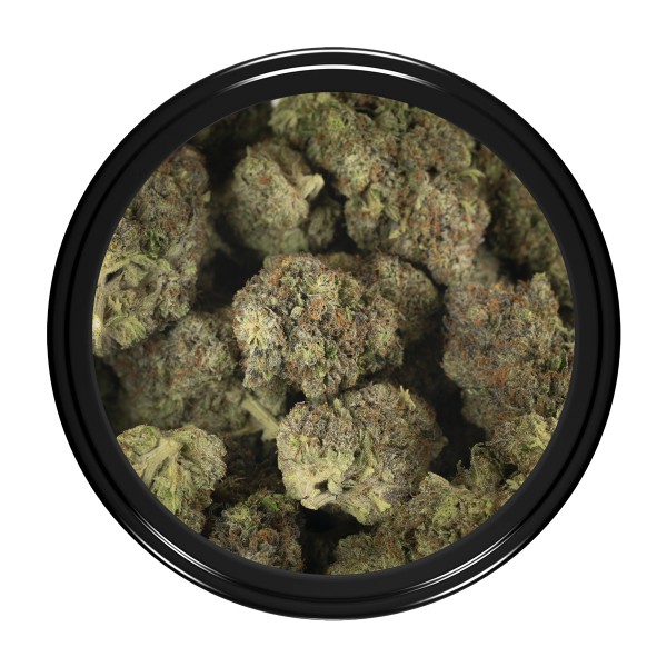 Buy Original Glue Strain Online Green Society