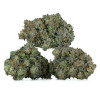 Buy Fatso Strain Online Green Society