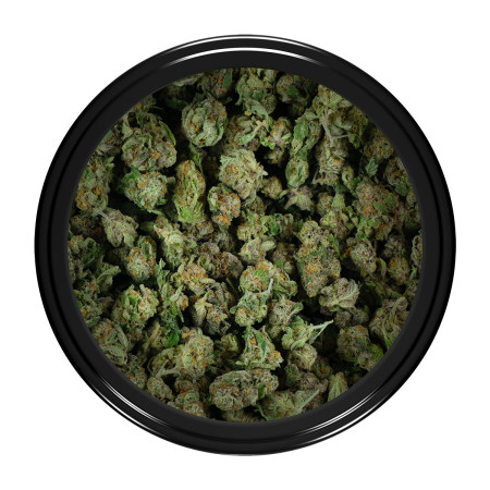 Buy Pressure Strain (Popcorn) Online Green Society