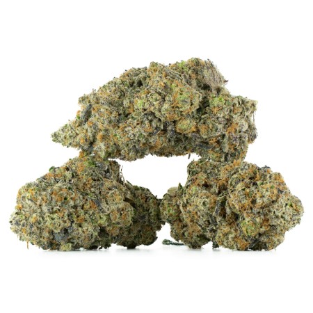 Buy Apple Crasher Strain Online Green Society