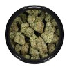 Buy Black Cherry Pie Strain Online Green Society