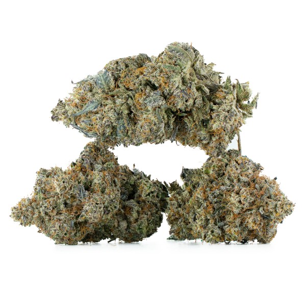 Buy Permanent Marker Strain Online Green Society