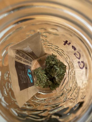 640629ba 0d30 40a6 Ae30 8723e68e994e