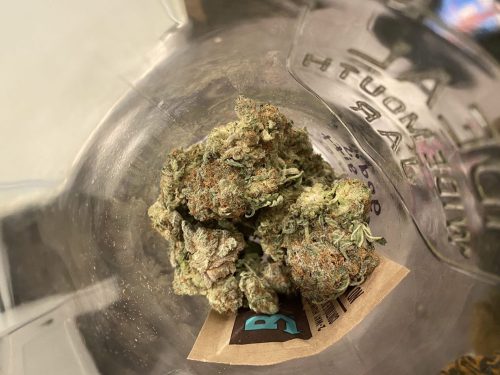 64e5a2b6 85f1 4409 94a9 736ab1679160