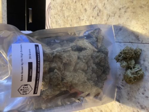 0fdfed3c Ada2 4ded 9a8b 15c6bc8475fd