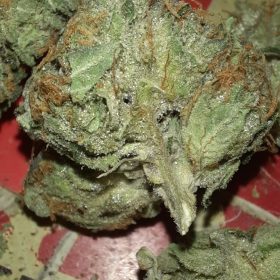 OG Diesel Kush photo review