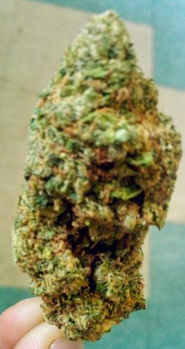 Img 20210507 194658~2