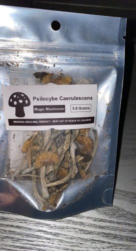 94315887 749b 49ec Ad02 A5b2a2cf775d