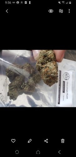 Screenshot 20220410 095634 Gallery