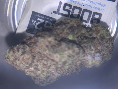 747a998c E028 460d 85c9 Fb13b300294b