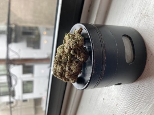 96aff384 A429 4ca3 9b0b 0af16f6750f1