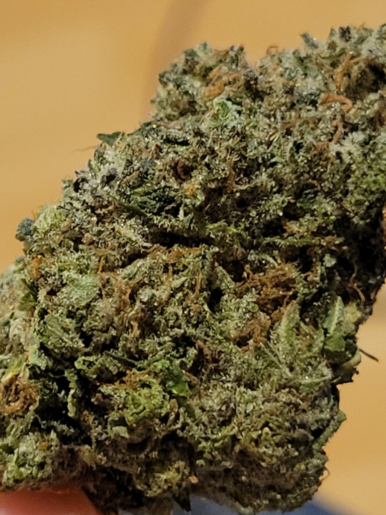 Fatso by Pluto Craft Cannabis photo review