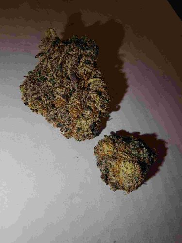 Img Com 20230529 2217 37 0661