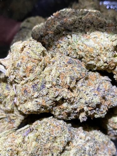 Fc2adff5 A95f 443f A7c3 26f46d178762